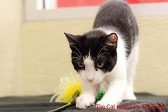 Penelope (20767985)