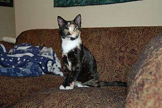 Penny (20512462)