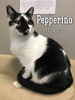 Pepperino (20720219)