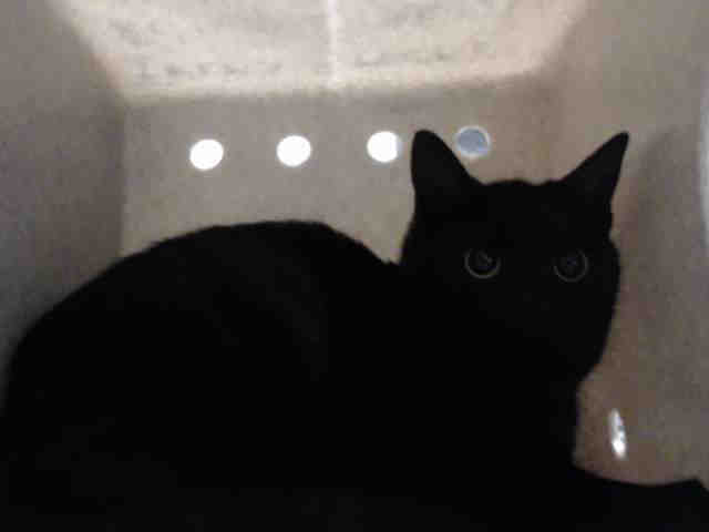 PHILLIP (A543799)