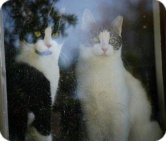 Pickle&OreoC (14931342)
