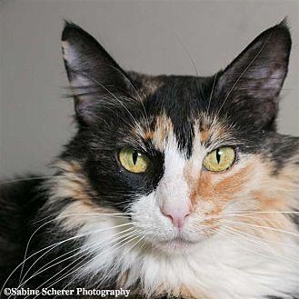 Pippa (20676308)