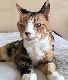 Princess (20566023)
