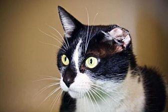 Puddy (20679540)