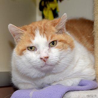 Pumpkin (20566009)
