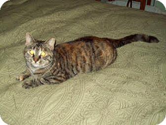 Punkin (cour (17952735)