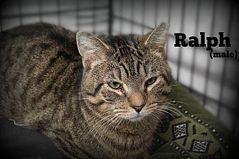 Ralph (20617703)