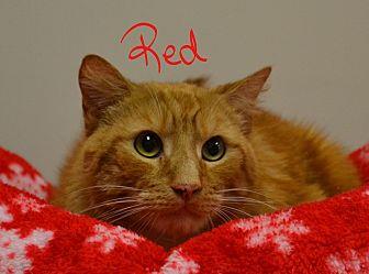 Red (20630734)