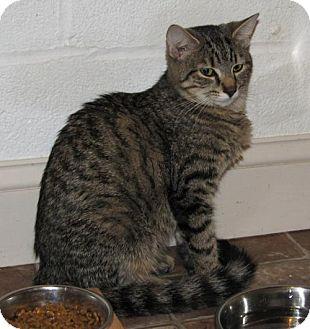 Reka (adult (17931226)