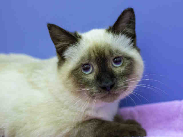 REY (A905311)