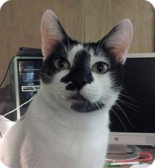 Ricky (14857375)