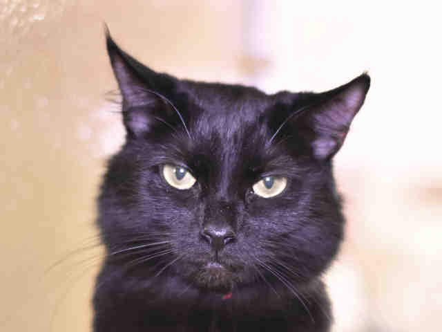 * RILEY (A1069265)