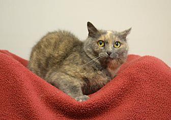 Rosie (20637402)