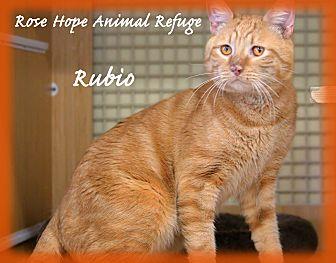 Rubio (20566008)
