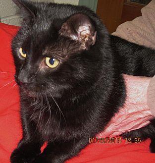 Sabrina (20574849)