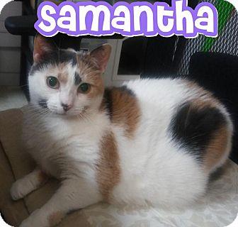 Samantha (16752893)