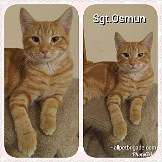 Sgt. Osmun (20690148)