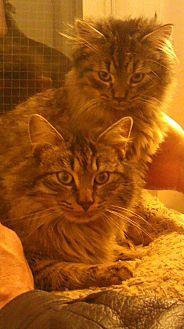 Shelby and S (20634045)