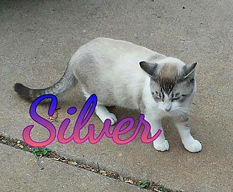 Silver (19940840)