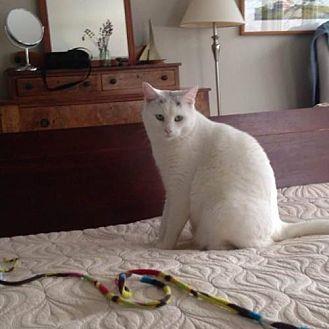 Smudge (20702830)