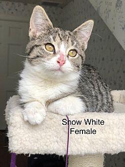 Snow White (20696523)