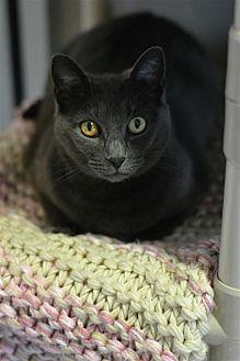 Sophie (20648744)