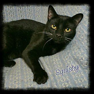Squishy (18747536)