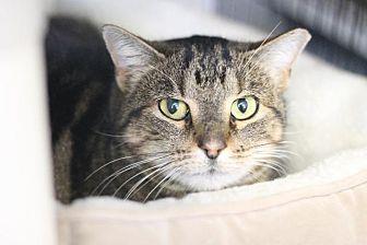 Tabitha (20156262)