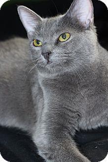 Talia (17494808)