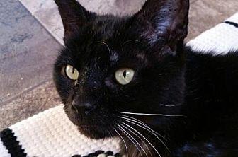 Tank (20046553)
