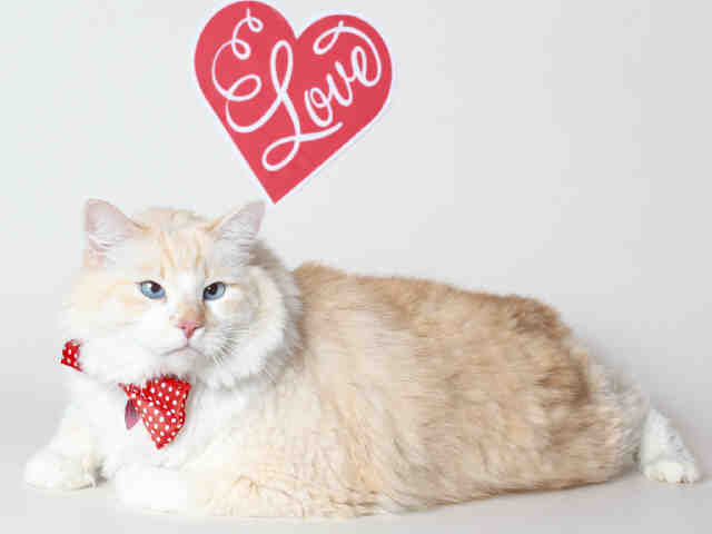 TANNER (A119906)