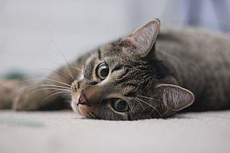 Teeny (20437765)