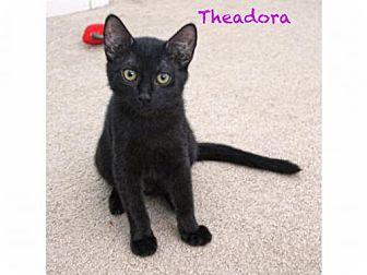 Theadora (16917217)