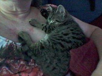 Tigger (18240733)