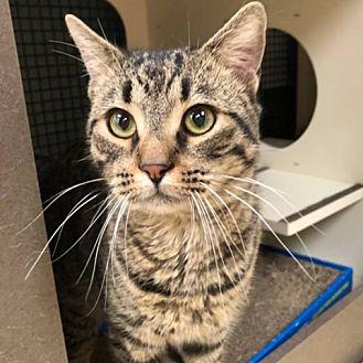 Tigger (20573744)