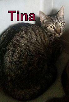 Tina (14467370)