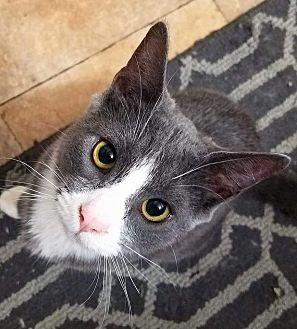 Tina (19410087)