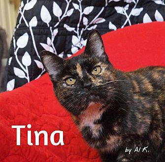 Tina (20513591)