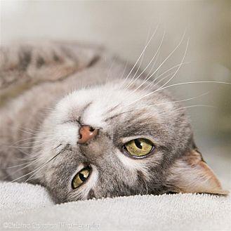 Tina (20575843)