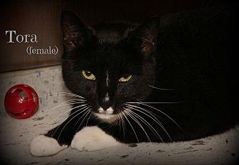 Tora (20366862)