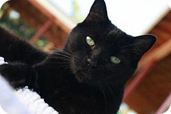 Trixie (15145551)