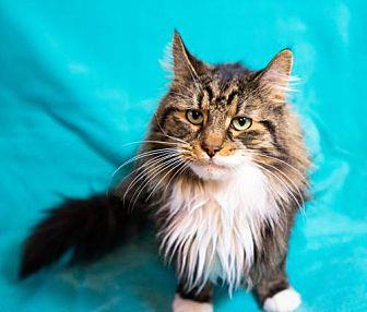 Tuffs (20660445)