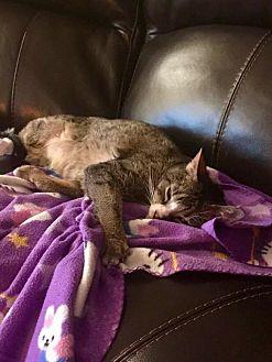 TUFFY (20717287)