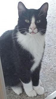 Tuxie (18476842)