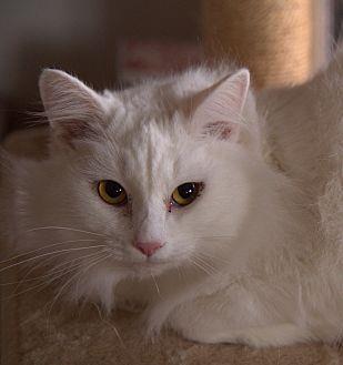 Twiggy (20580562)
