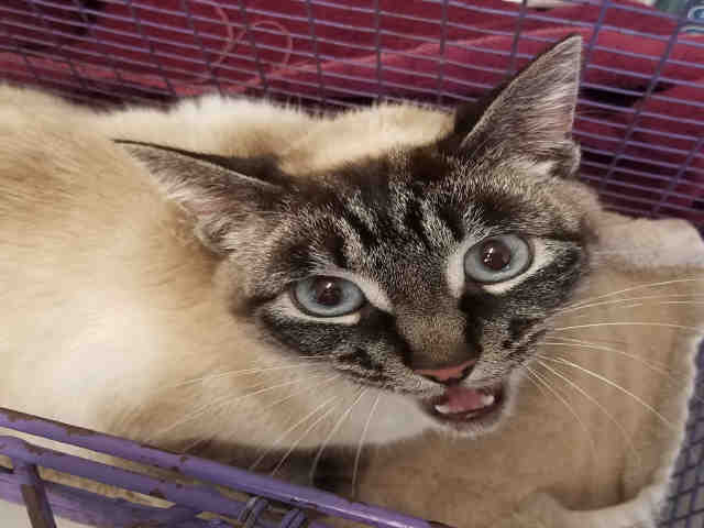 TWINKLE (A066919)