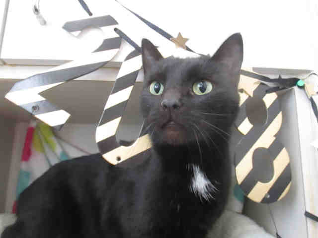 UNKNOWN (A170179)