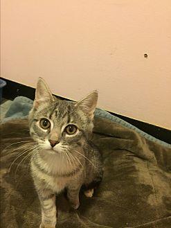 Wilma (20574301)