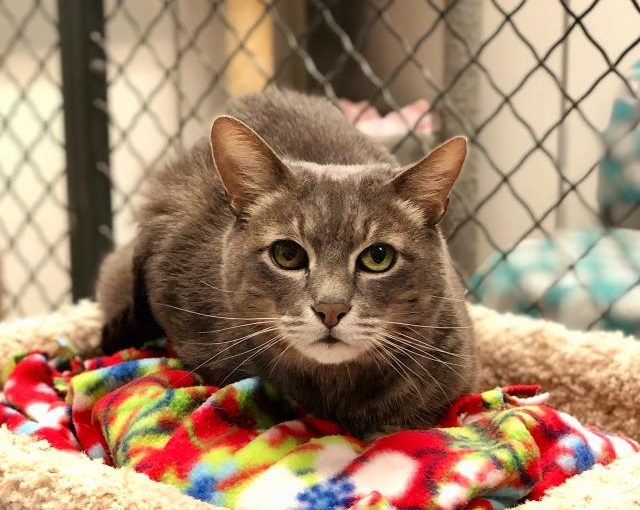 WILSON (A137935)