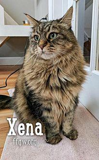 Xena (20557299)